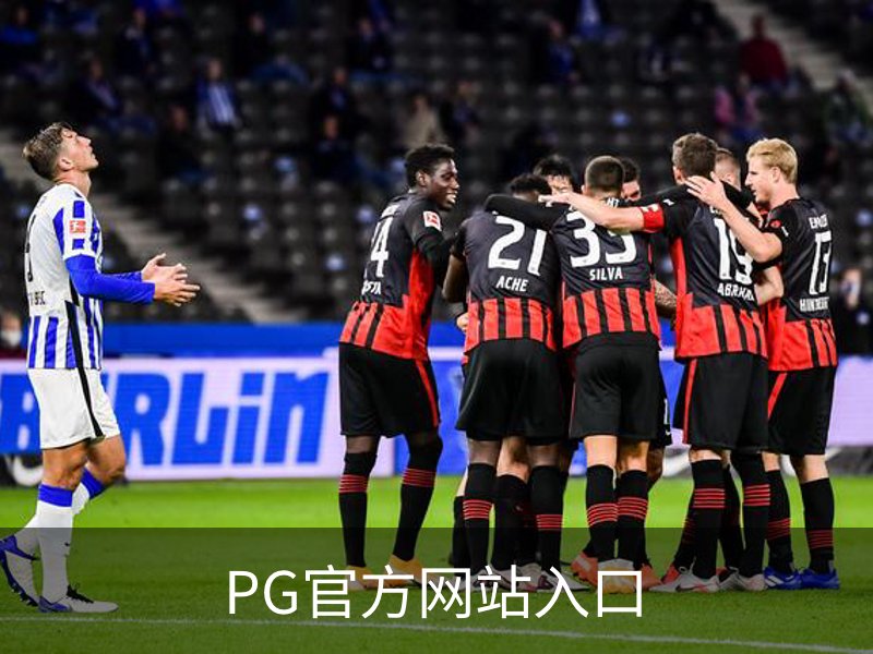 PG官方网站入口简介